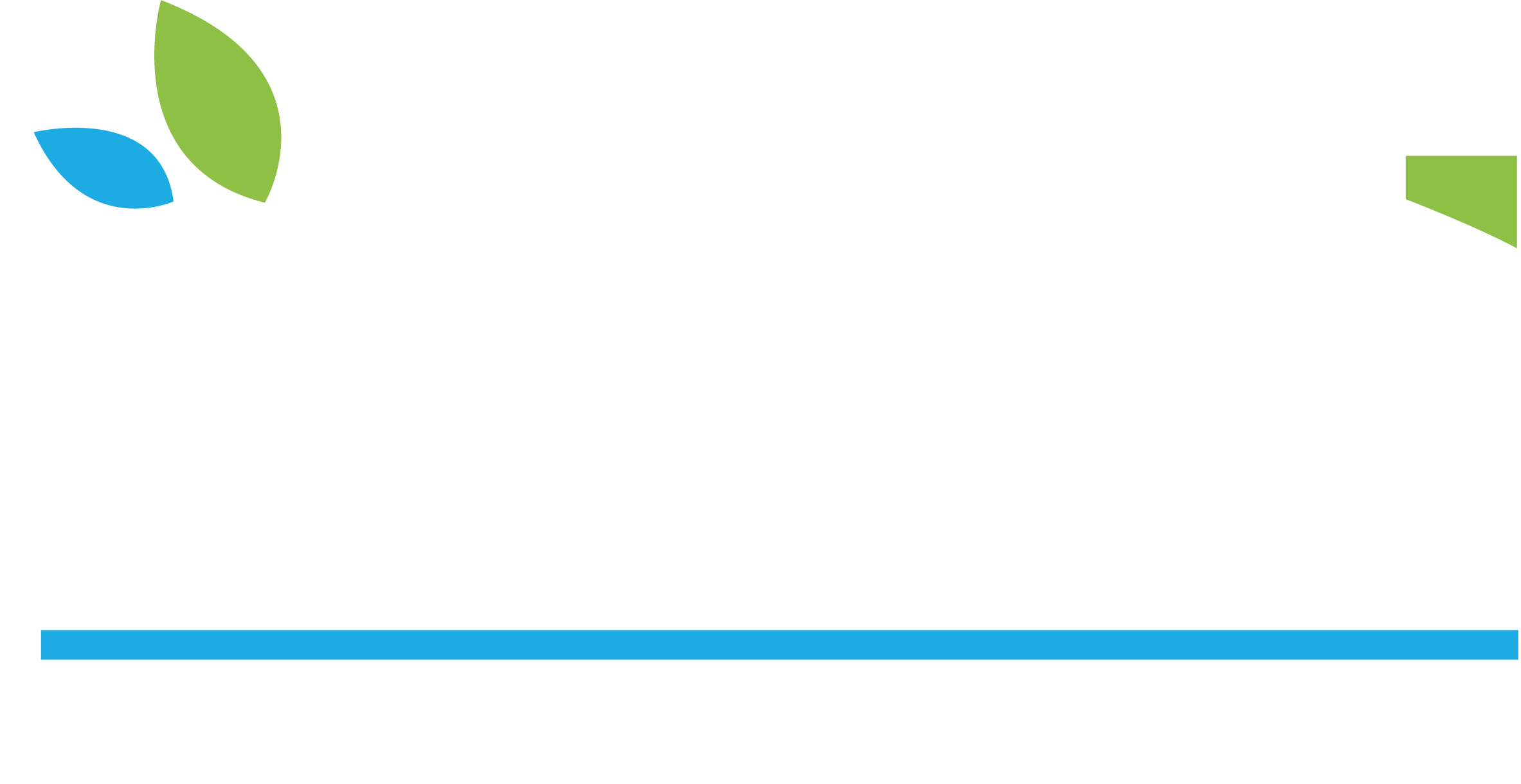 Banque Calédonienne d'Investissement