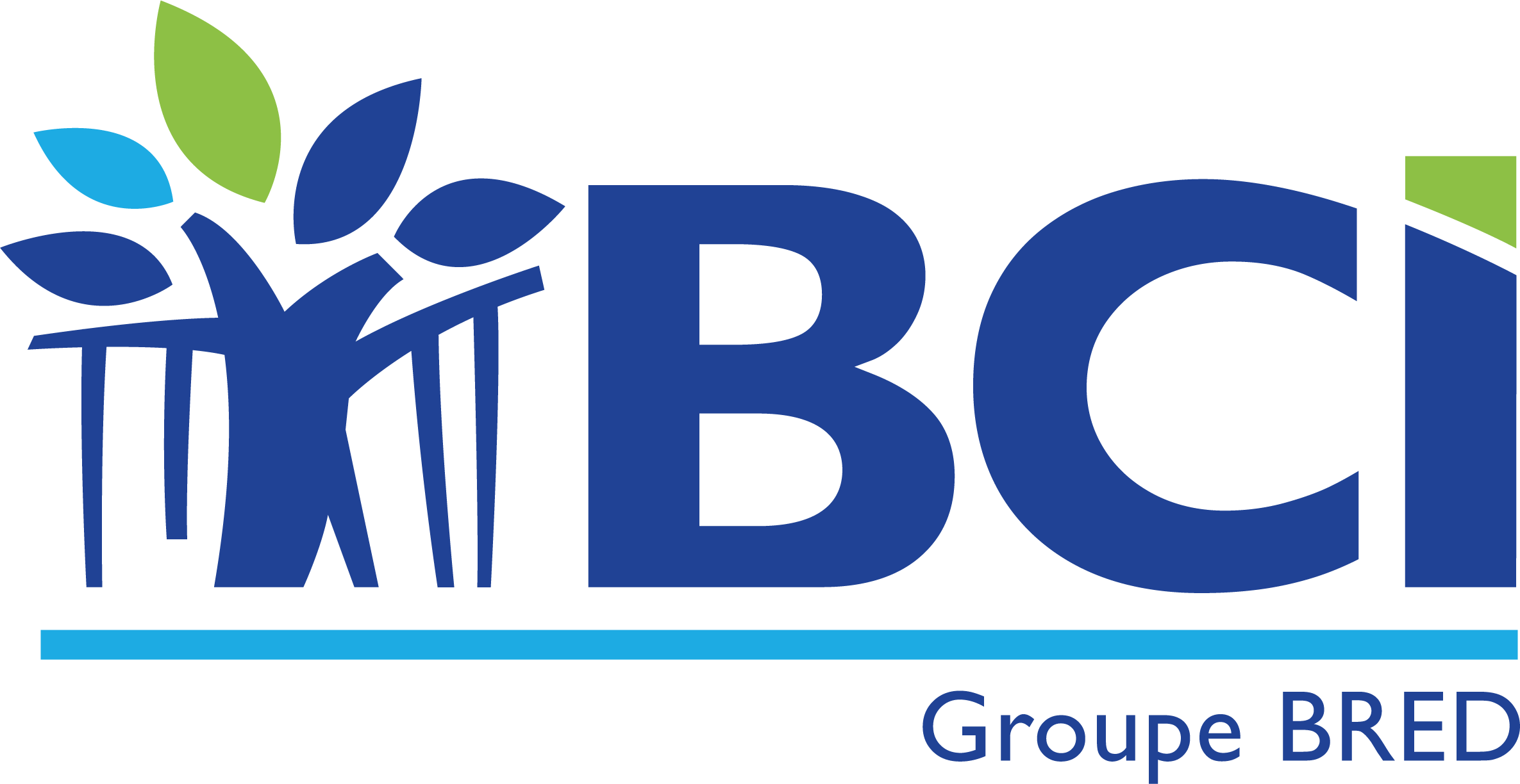 Banque Calédonienne d'Investissement